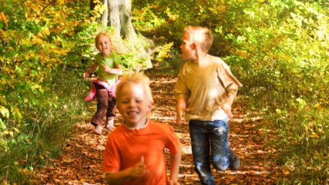 Wald-Rallye Ideen für den Kindergeburtstag