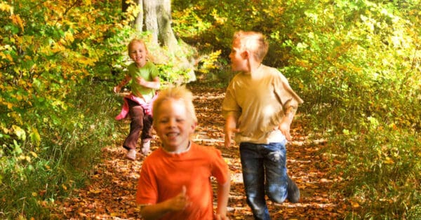 Wald-Rallye Ideen für den Kindergeburtstag