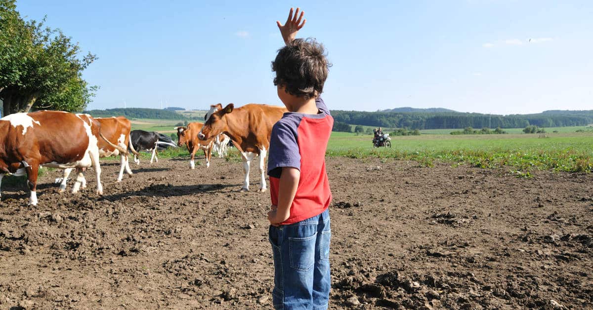 Bauernhof Geburtstag Ideen Motto Kindergeburtstag