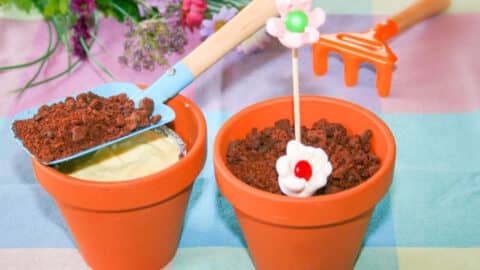 Blumentopf Dessert mit Vanille Creme Rezept für Kindergeburtstag