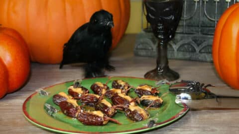 gefüllte Kakerlaken Halloween Rezept Ideen