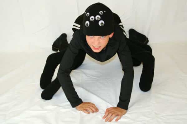 Spinnen Kostüm für Halloween