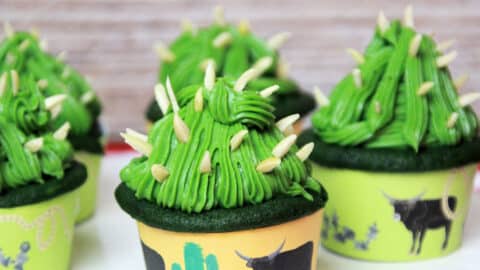 Kaktus-Cakes