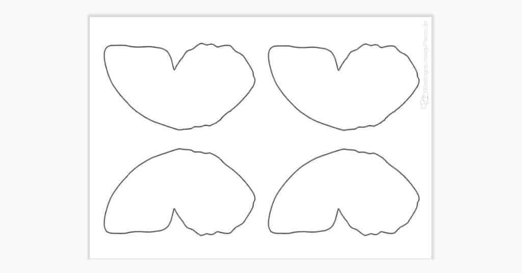 Schmetterlingsflügel, schmetterlinge basteln vorlage ausdrucken