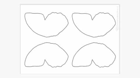 Schmetterlingsflügel, schmetterlinge basteln vorlage ausdrucken