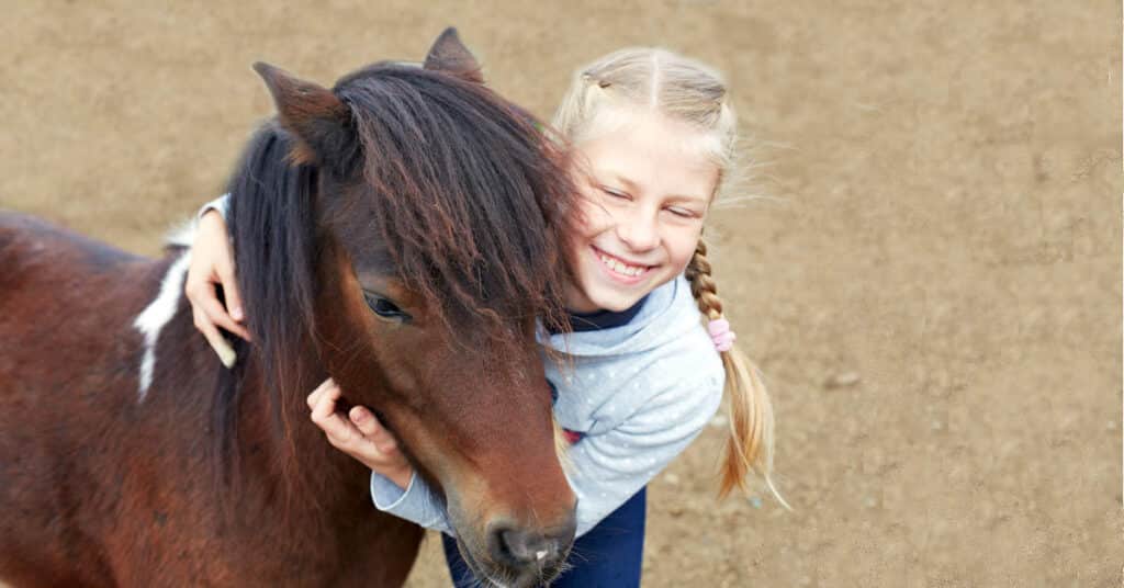 Pferde reiten ponies Kindergeburtstag