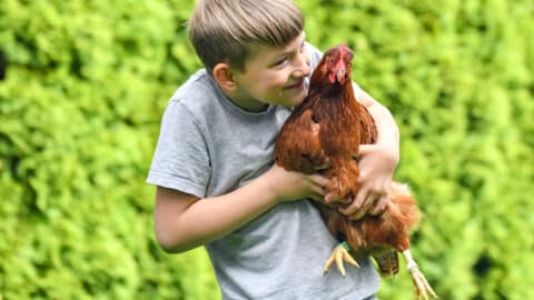 Hüherdieb spiel Kindergeburtstag