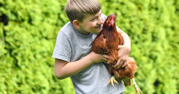 Hüherdieb spiel Kindergeburtstag