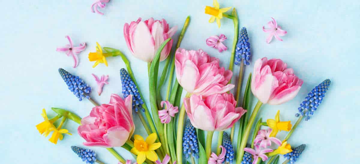 Frühling Geburtstag Ideen Kindergeburtstag feiern Party